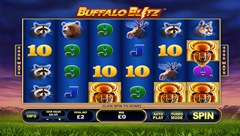 Buffalo Blitz Haupt