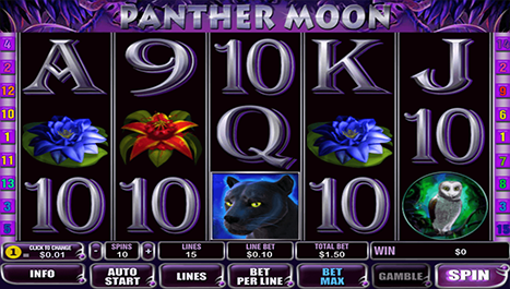 Panther Mond Haupt