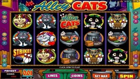 Alley Cats Spielautomat bei Platinum Play