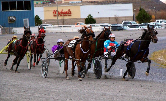 Fredericton Raceway