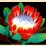 Wilde Blume (Scatter)