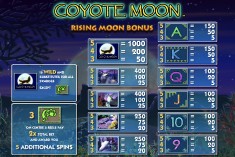 Wie man Jackpot gewinnt