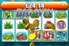 Gewinnen Sie den Goldfisch-Slot