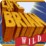 Das Leben von Brian Wild