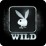 Playboy-HaМ€schen-Logo