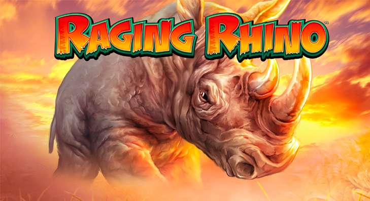 Rasendes Nashorn