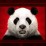 Panda (wild)