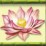 Lotusblume