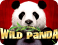 Wilder Panda