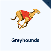 Greyhounds Wetten