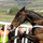 Sprinter Sacre