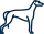 Windhund<br>Rennen